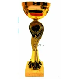 Наградной кубок с надписью RUS9A в интернет-магазине kubki-olimp.ru и cup-olimp.ru Фото 0