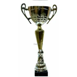 Надпись на кубке K706B в интернет-магазине kubki-olimp.ru и cup-olimp.ru Фото 0