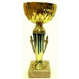 Надпись на кубке К629A в интернет-магазине kubki-olimp.ru и cup-olimp.ru Фото 0