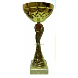Надпись на кубке K603A в интернет-магазине kubki-olimp.ru и cup-olimp.ru Фото 0