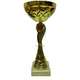 Надпись на кубке K603C в интернет-магазине kubki-olimp.ru и cup-olimp.ru Фото 1