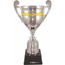 серебряный кубок 2002C в интернет-магазине kubki-olimp.ru и cup-olimp.ru Фото 0