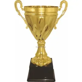 Купить кубок D269E в интернет-магазине kubki-olimp.ru и cup-olimp.ru Фото 0