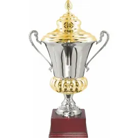 Купить кубок для награждения GL6210.1 в интернет-магазине kubki-olimp.ru и cup-olimp.ru Фото 0