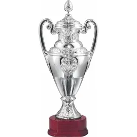 Купить кубок для награждения GL6320.3 в интернет-магазине kubki-olimp.ru и cup-olimp.ru Фото 0