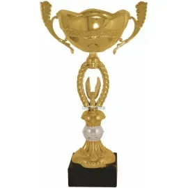 Кубок с гравировкой на заказ и cup-olimp.ru Кубок 3034C (3) в интернет-магазине kubki-olimp.ru и cup-olimp.ru Фото 0