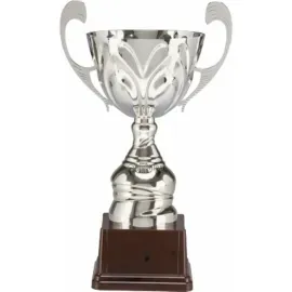 Заказать кубок с гравировкой 3088_4К в интернет-магазине kubki-olimp.ru и cup-olimp.ru Фото 0