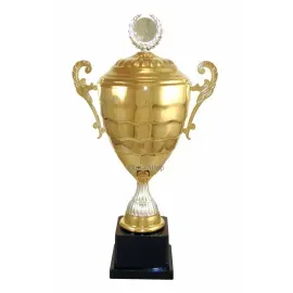 Купить наградной кубок серии D3669A в интернет-магазине kubki-olimp.ru и cup-olimp.ru Фото 0