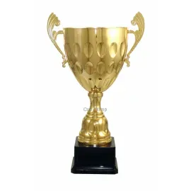 Купить кубок для награждения D3704-C в интернет-магазине kubki-olimp.ru и cup-olimp.ru Фото 0