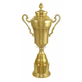 Кубок престижной серии номер D3730C в интернет-магазине kubki-olimp.ru и cup-olimp.ru Фото 0