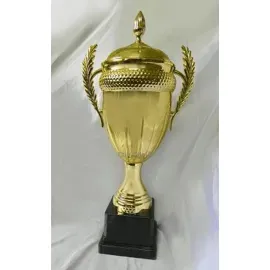 Купить кубок престижный 027 C в интернет-магазине kubki-olimp.ru и cup-olimp.ru Фото 0