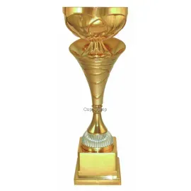 Надпись на кубке победителя соревнований P365 B (2) в интернет-магазине kubki-olimp.ru и cup-olimp.ru Фото 0