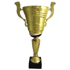 Купить кубок с гравировкой в и cup-olimp.ru RUS2B в интернет-магазине kubki-olimp.ru и cup-olimp.ru Фото 0