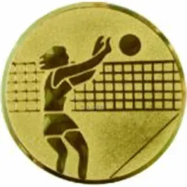 Вкладыш женский D1 A7  в медали спортивные для награждения в интернет-магазине kubki-olimp.ru и cup-olimp.ru Фото 0