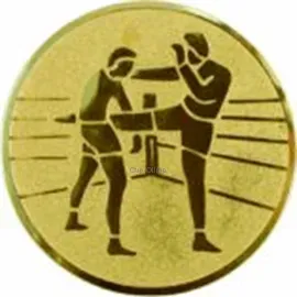 Купить спортивные вкладыш кикбокс D1 a58 в медали в и cup-olimp.ru в интернет-магазине kubki-olimp.ru и cup-olimp.ru Фото 0