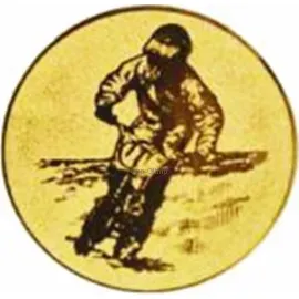 Купить спортивные вкладыш мотоспорт  D1 a104 в медали в и cup-olimp.ru в интернет-магазине kubki-olimp.ru и cup-olimp.ru Фото 0