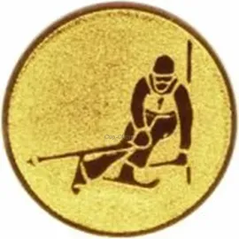 Спортивные вкладыш лыжи D1 a149 в медали и cup-olimp.ru в интернет-магазине kubki-olimp.ru и cup-olimp.ru Фото 0