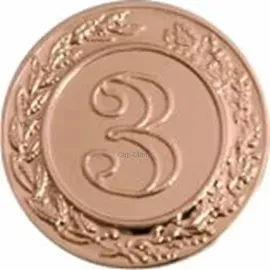 Купить спортивные вкладыш третье место d10 b3 в медали в и cup-olimp.ru в интернет-магазине kubki-olimp.ru и cup-olimp.ru Фото 0