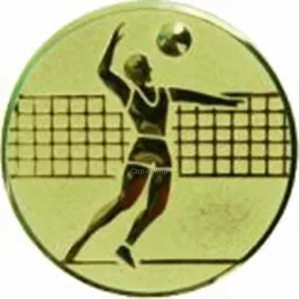 Купить вкладыш волейбол am1-19-g в медали спортивные оптом в интернет-магазине kubki-olimp.ru и cup-olimp.ru Фото 0