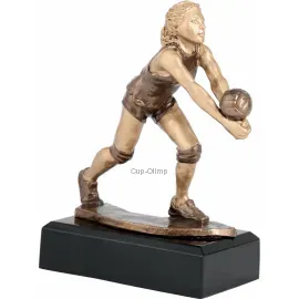 Купить статуэтку в и cup-olimp.ru женский волейбол RFST2016_BRK в интернет-магазине kubki-olimp.ru и cup-olimp.ru Фото 0