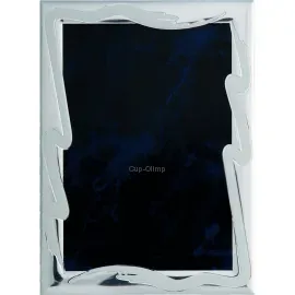 Табличка на плакетку 49716/S/BLK в интернет-магазине kubki-olimp.ru и cup-olimp.ru Фото 0
