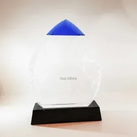 Стекло сувениры и cup-olimp.ru g18-230 в интернет-магазине kubki-olimp.ru и cup-olimp.ru Фото 2
