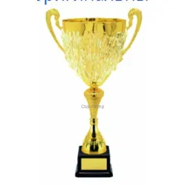 Кубок с надписью на заказ D1997A в интернет-магазине kubki-olimp.ru и cup-olimp.ru Фото 0