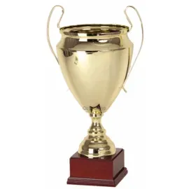 Заказать кубок с надписью R2520A в интернет-магазине kubki-olimp.ru и cup-olimp.ru Фото 0