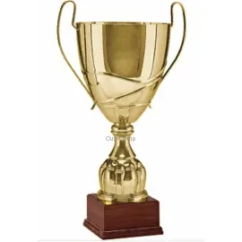 Кубок призовой R2057D в интернет-магазине kubki-olimp.ru и cup-olimp.ru Фото 0