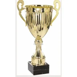 Кубки наградные спортивные R4001A в интернет-магазине kubki-olimp.ru и cup-olimp.ru Фото 0
