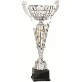 Кубки наградные спортивные R4011C в интернет-магазине kubki-olimp.ru и cup-olimp.ru Фото 0