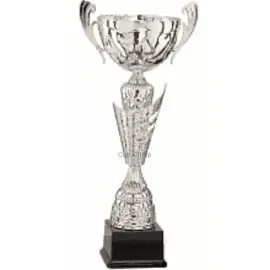 Кубок престижный R4014C в интернет-магазине kubki-olimp.ru и cup-olimp.ru Фото 0