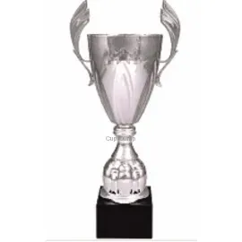 Купить кубок с надписью R4127D в интернет-магазине kubki-olimp.ru и cup-olimp.ru Фото 0