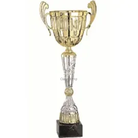 Кубок с надписью на заказ R4015D в интернет-магазине kubki-olimp.ru и cup-olimp.ru Фото 0