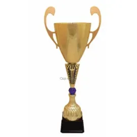 Наградной кубок с надписью S1075D в интернет-магазине kubki-olimp.ru и cup-olimp.ru Фото 0
