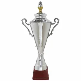 Заказать кубок с гравировкой S2174C (3) в интернет-магазине kubki-olimp.ru и cup-olimp.ru Фото 0