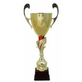Заказать кубок с надписью в и cup-olimp.ru S1053A (1) недорого в интернет-магазине kubki-olimp.ru и cup-olimp.ru Фото 0