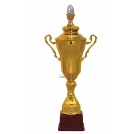 Надпись на кубке победителя соревнований S2178C в интернет-магазине kubki-olimp.ru и cup-olimp.ru Фото 0