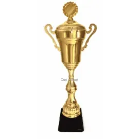 Кубки наградные спортивные S1073C в интернет-магазине kubki-olimp.ru и cup-olimp.ru Фото 0