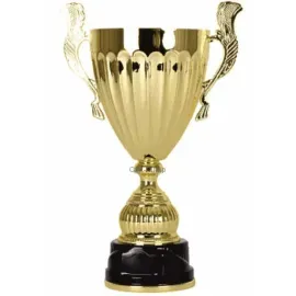 Купить кубок для награждения R3531A в интернет-магазине kubki-olimp.ru и cup-olimp.ru Фото 0