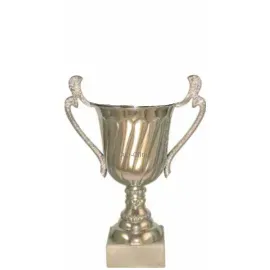 Элитные кубки P141A-S (1) без крышки в интернет-магазине kubki-olimp.ru и cup-olimp.ru Фото 0