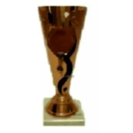 Надпись на кубке победителя соревнований P14C в интернет-магазине kubki-olimp.ru и cup-olimp.ru Фото 3