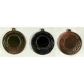Медаль L111 G, Цвет медали: золото, Диаметр вкладыша, мм.: 25, Диаметр медали, мм.: 50