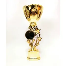 кубок наградной C6003, Цвет: золото, Высота кубка, см.: 24.5, Диаметр чаши, мм.: 80