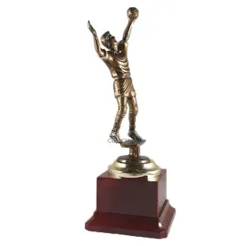 Литая фигурка RF2307 волейбол (21 см), Цвет пластиковых статуэток: бронза, Высота статуэтки, см.: 23.5