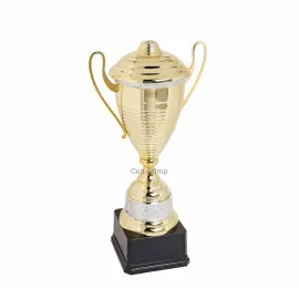 Кубок K355, Цвет: золото/серебро, Высота кубка, см.: 53, Диаметр чаши, мм.: 160