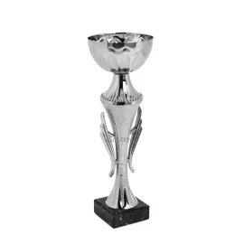 Кубок K474, Цвет: серебро, Высота кубка, см.: 28, Диаметр чаши, мм.: 100