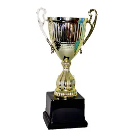 кубок 3171, Цвет: золото, Высота кубка, см.: 30.5, Диаметр чаши, мм.: 100