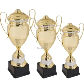 Кубок K354, Цвет: золото, Высота кубка, см.: 51, Диаметр чаши, мм.: 140