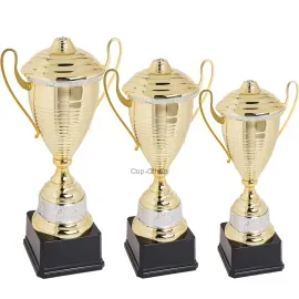 Кубок K355, Цвет: золото/серебро, Высота кубка, см.: 47, Диаметр чаши, мм.: 140